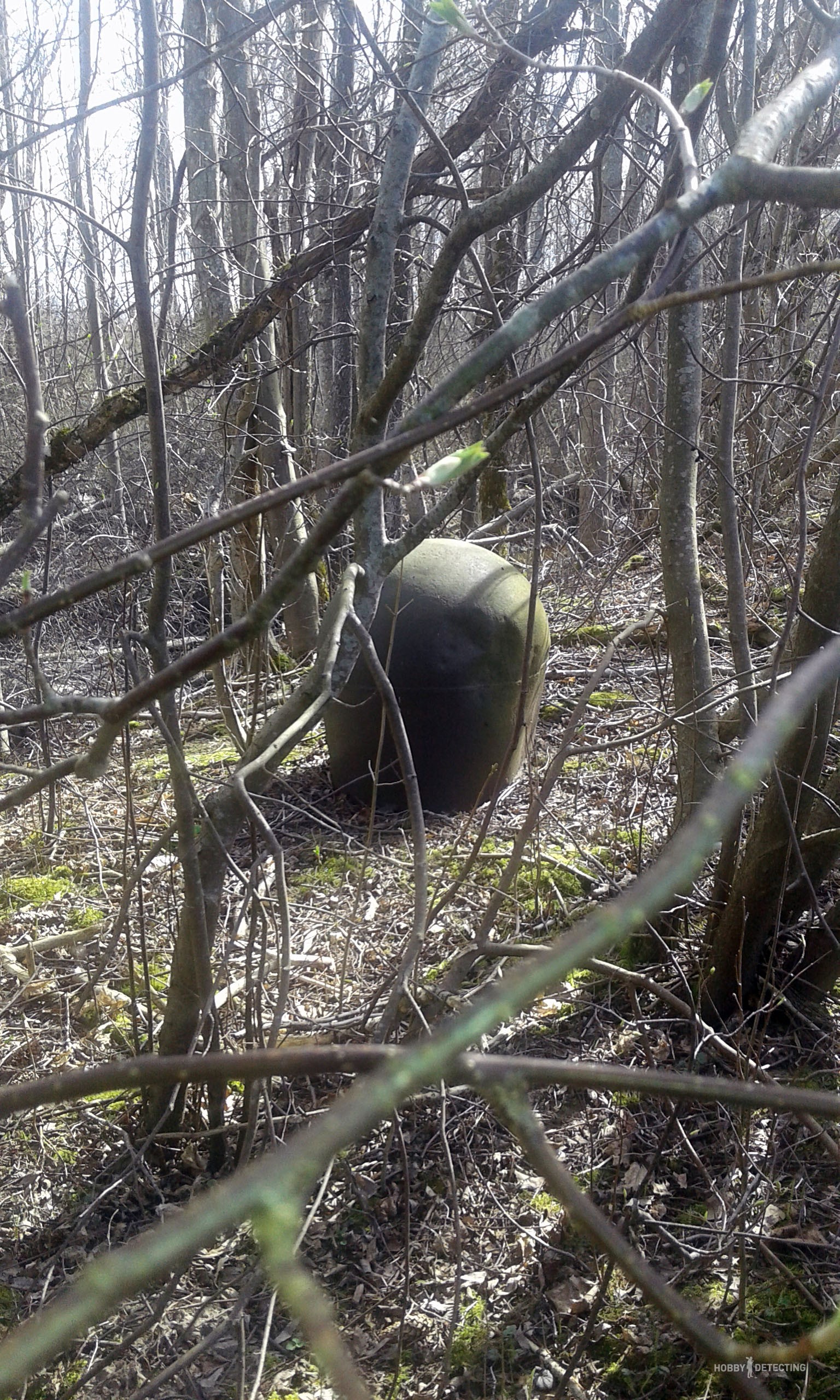 Kui mina esimest korda käisin metallidetektoriga otsimas, siis juhtus nii.... Kui läksin metsa, nägin ja arvasin , et see on lennukipomm. Kui kaevasin augu põllul siis arvasin , et leidsin suure rahapaja R.Toomas