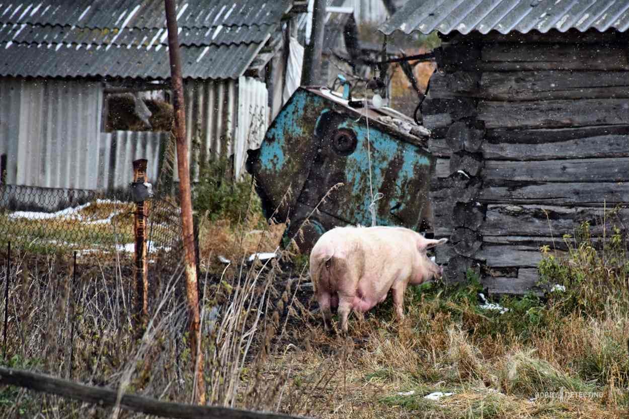 konkurs-kopatelskih-istorij-2021